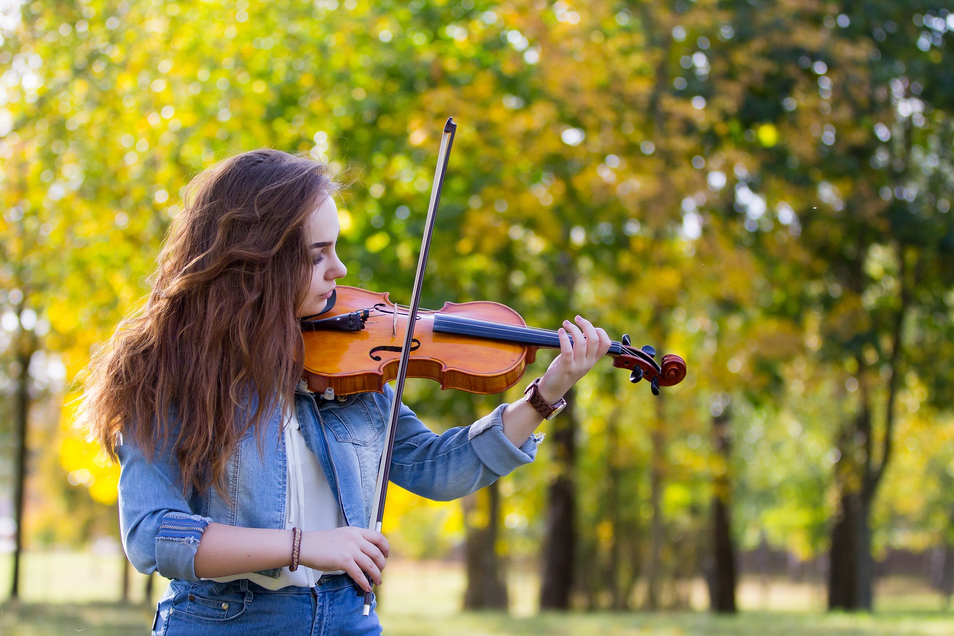 Comment Choisir Un Violon Musicali Location Vente D Instruments De Musique